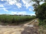 平良下里腰原　ゆとりある土地　約801坪　原野