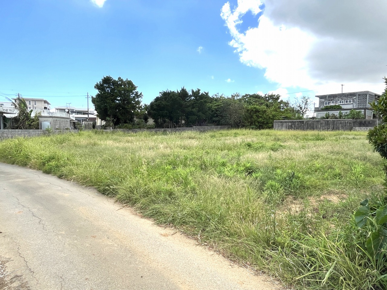 平良下里　古謝そば屋近く　約477坪　畑