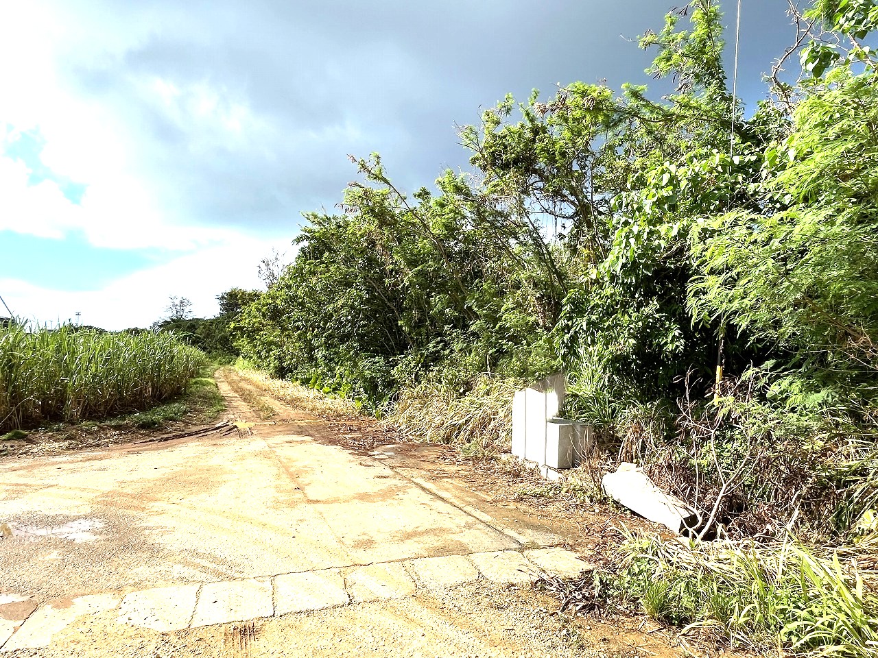 平良下里腰原　ゆとりある土地　約801坪　原野