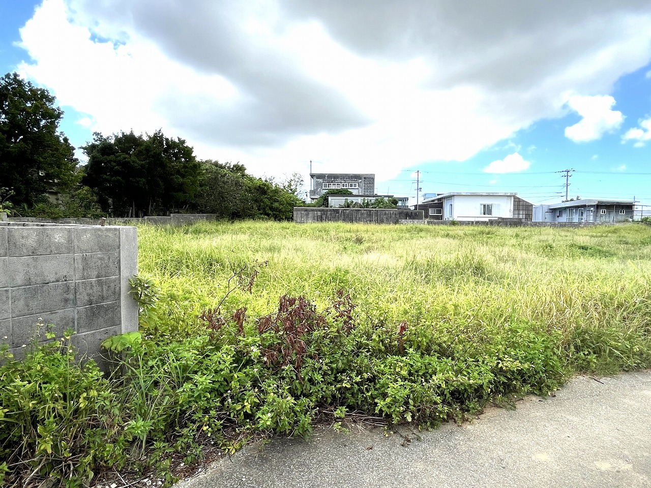 平良下里　古謝そば屋近く　約477坪　畑