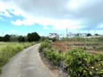 平良下里 古謝そば屋近く 約477坪 畑