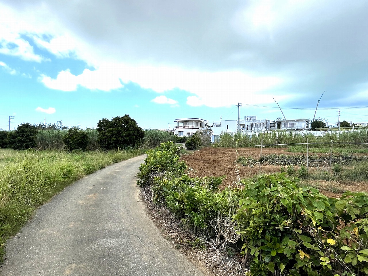 平良下里　古謝そば屋近く　約477坪　畑