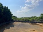 伊良部ホテルが並ぶ通り沿い　290坪　原野