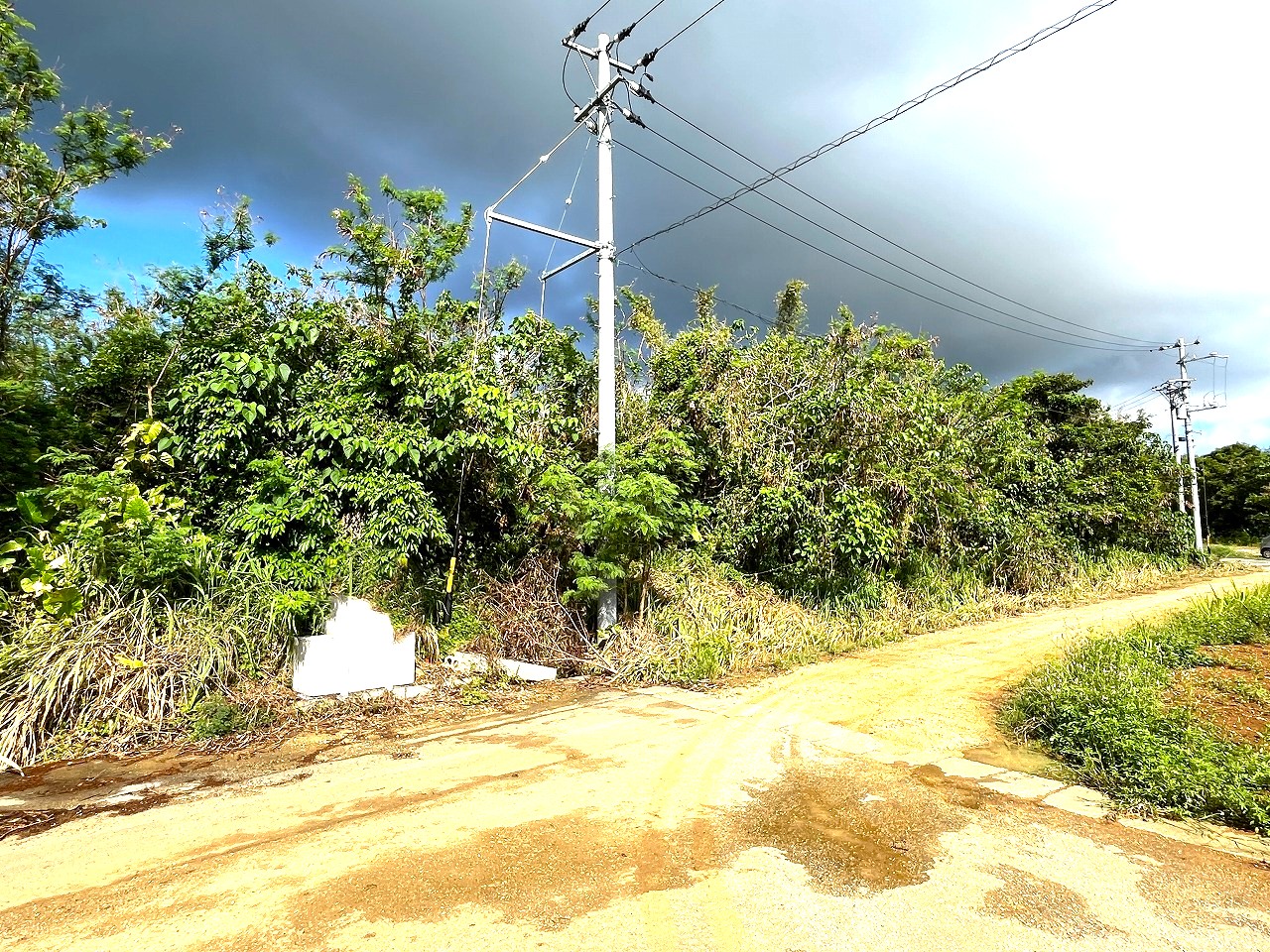平良下里腰原　ゆとりある土地　約801坪　原野