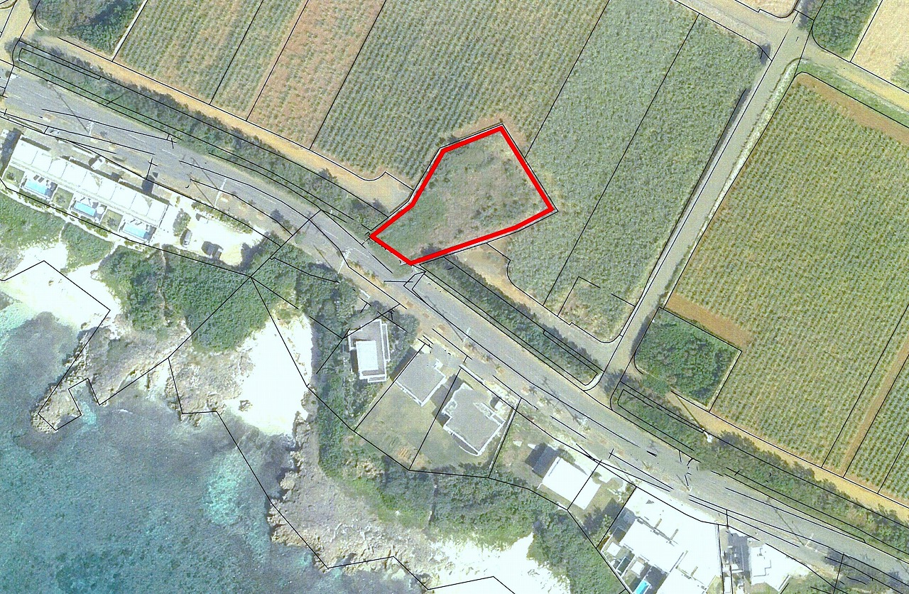 伊良部ホテルが並ぶ通り沿い　290坪　原野
