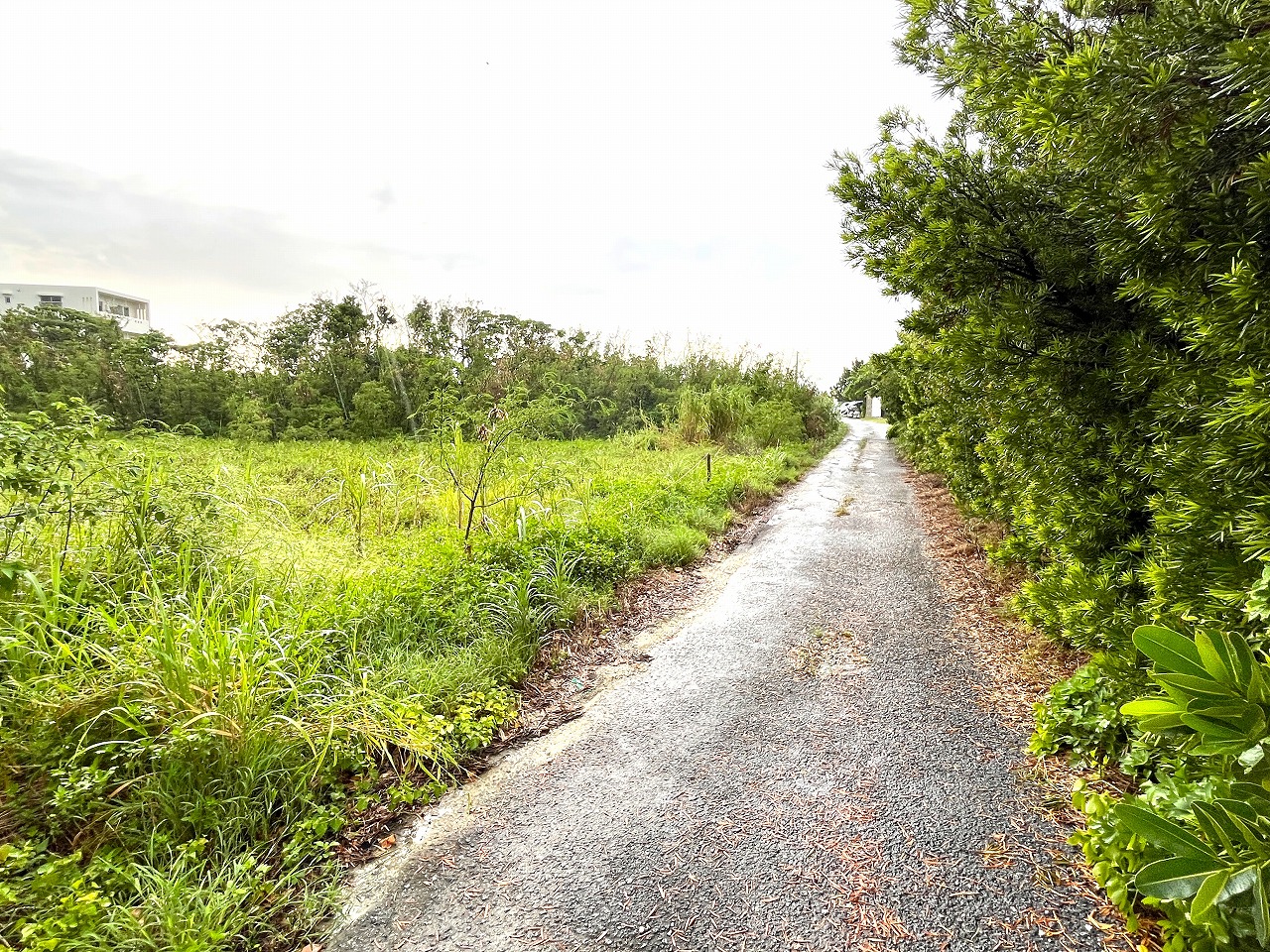 平良下里　JTAドーム近く　ゆとりのある土地　約597坪　畑