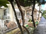 平良西里　北給油所近く　RCB造2階建　建物79坪　土地84坪