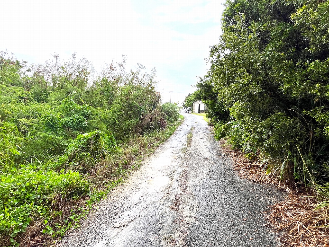 平良下里　JTAドーム近く　ゆとりのある土地　約597坪　畑