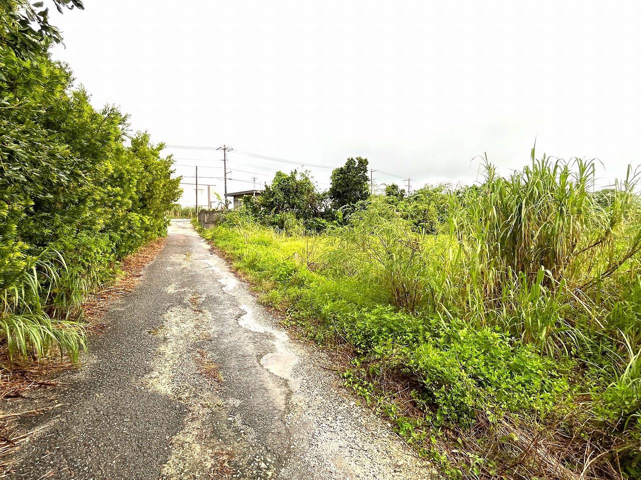平良下里　JTAドーム近く　ゆとりのある土地　約597坪　畑