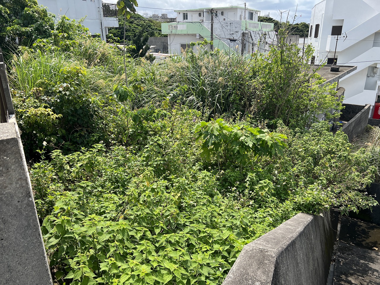 平良西仲宗根　平良港近く　約131坪　畑・宅地　