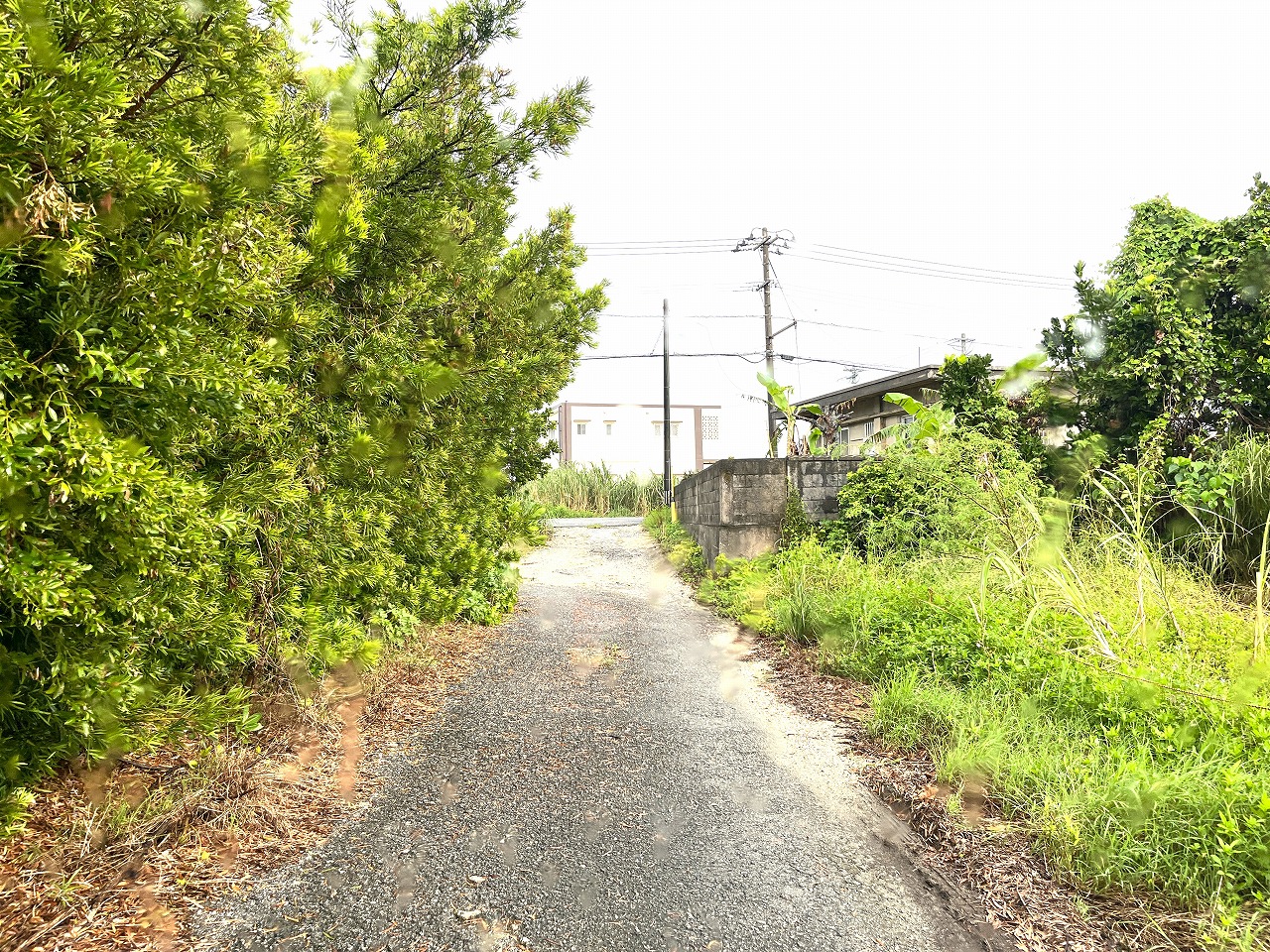 平良下里　JTAドーム近く　ゆとりのある土地　約597坪　畑
