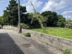 平良西仲宗根　平良港近く　約87坪　畑　