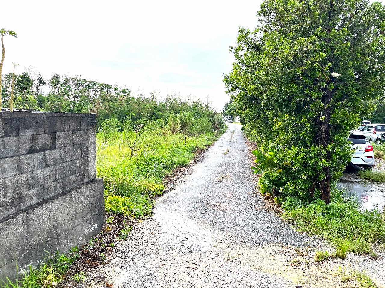 平良下里　JTAドーム近く　ゆとりのある土地　約597坪　畑