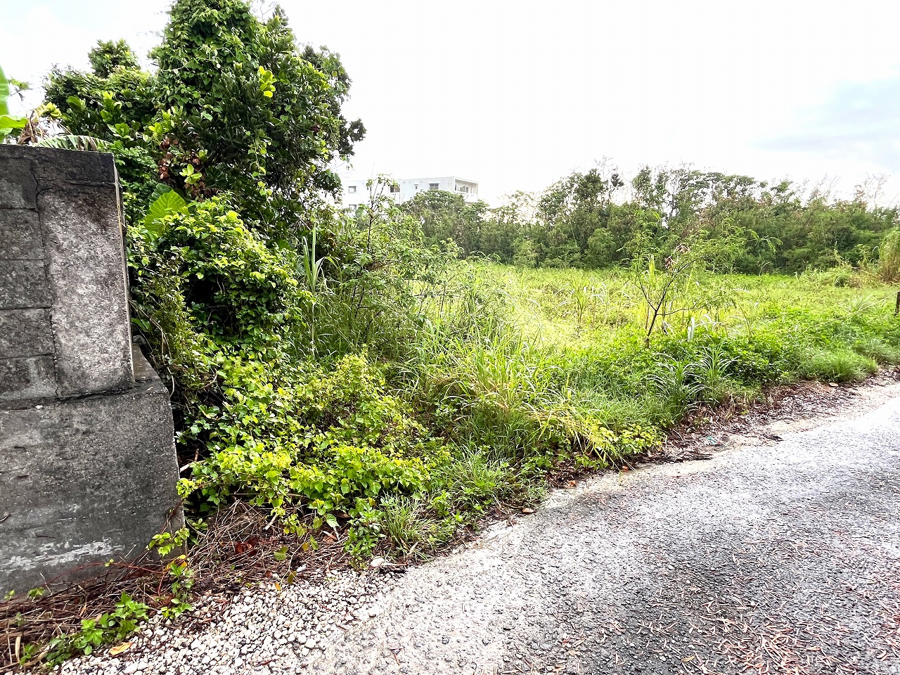 平良下里　JTAドーム近く　ゆとりのある土地　約597坪　畑