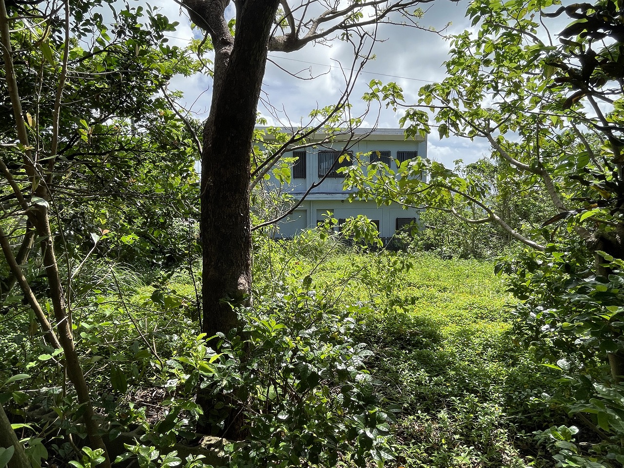 平良西仲宗根　平良港近く　約131坪　畑・宅地　