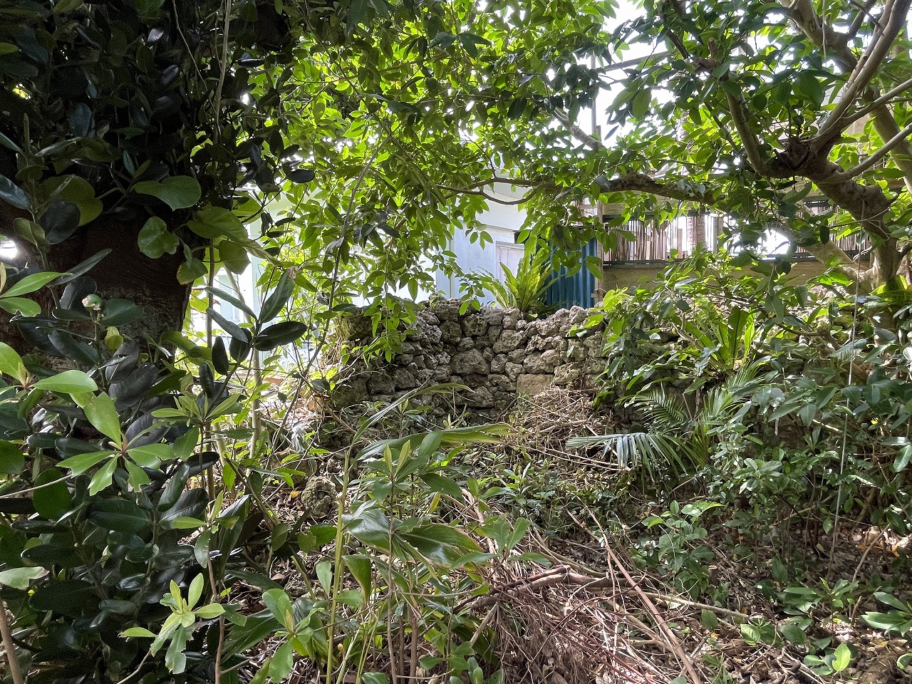 平良西仲宗根　平良港近く　約74坪　宅地（未登記古家あり）