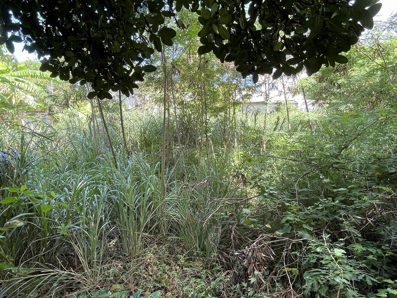 平良西仲宗根　平良港近く　約74坪　宅地（未登記古家あり）