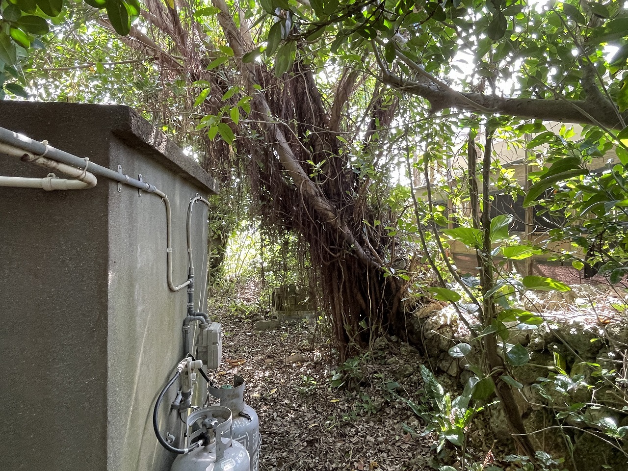 平良西仲宗根　平良港近く　約74坪　宅地（未登記古家あり）