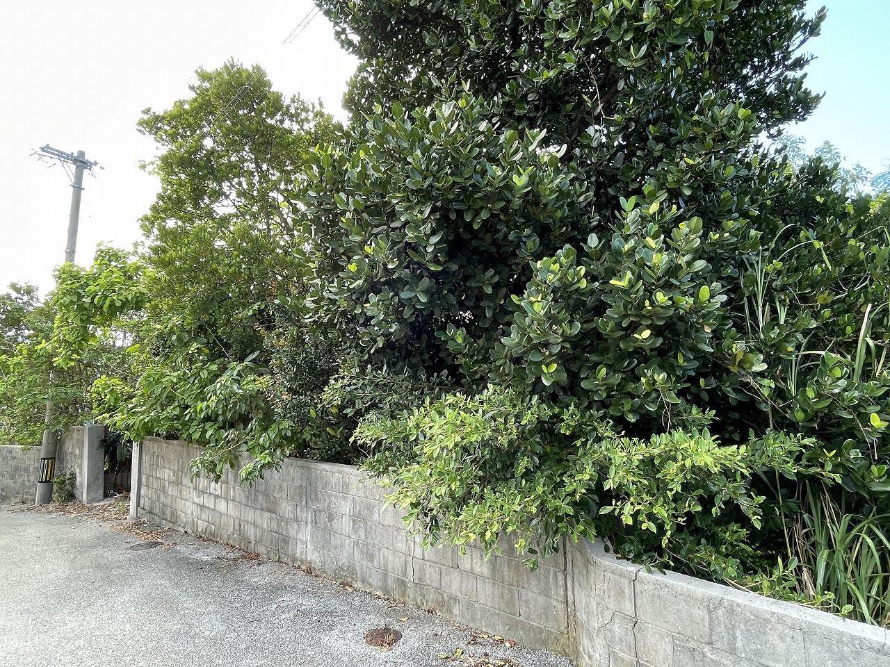 平良西仲宗根　平良港近く　約74坪　宅地（未登記古家あり）