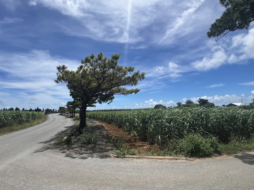 下地川満　県道200号線沿い　約2.2反　農用地