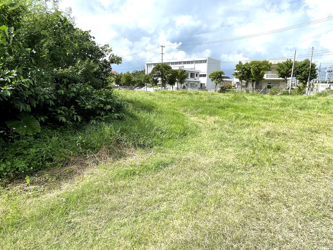 平良西仲宗根　北中近く　角地　約500坪　畑