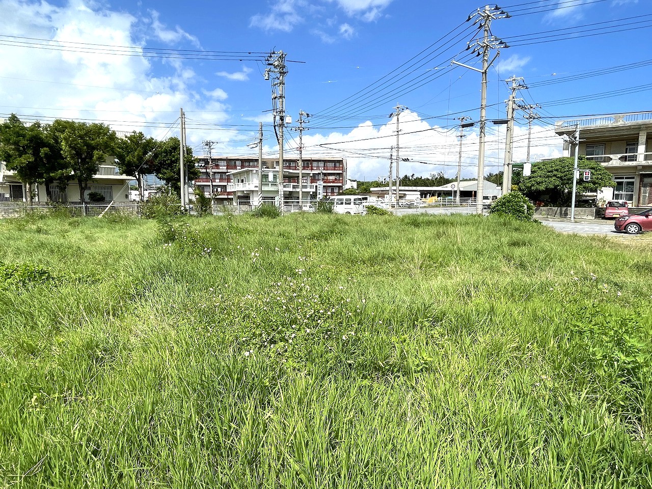 平良西仲宗根　北中近く　角地　約500坪　畑