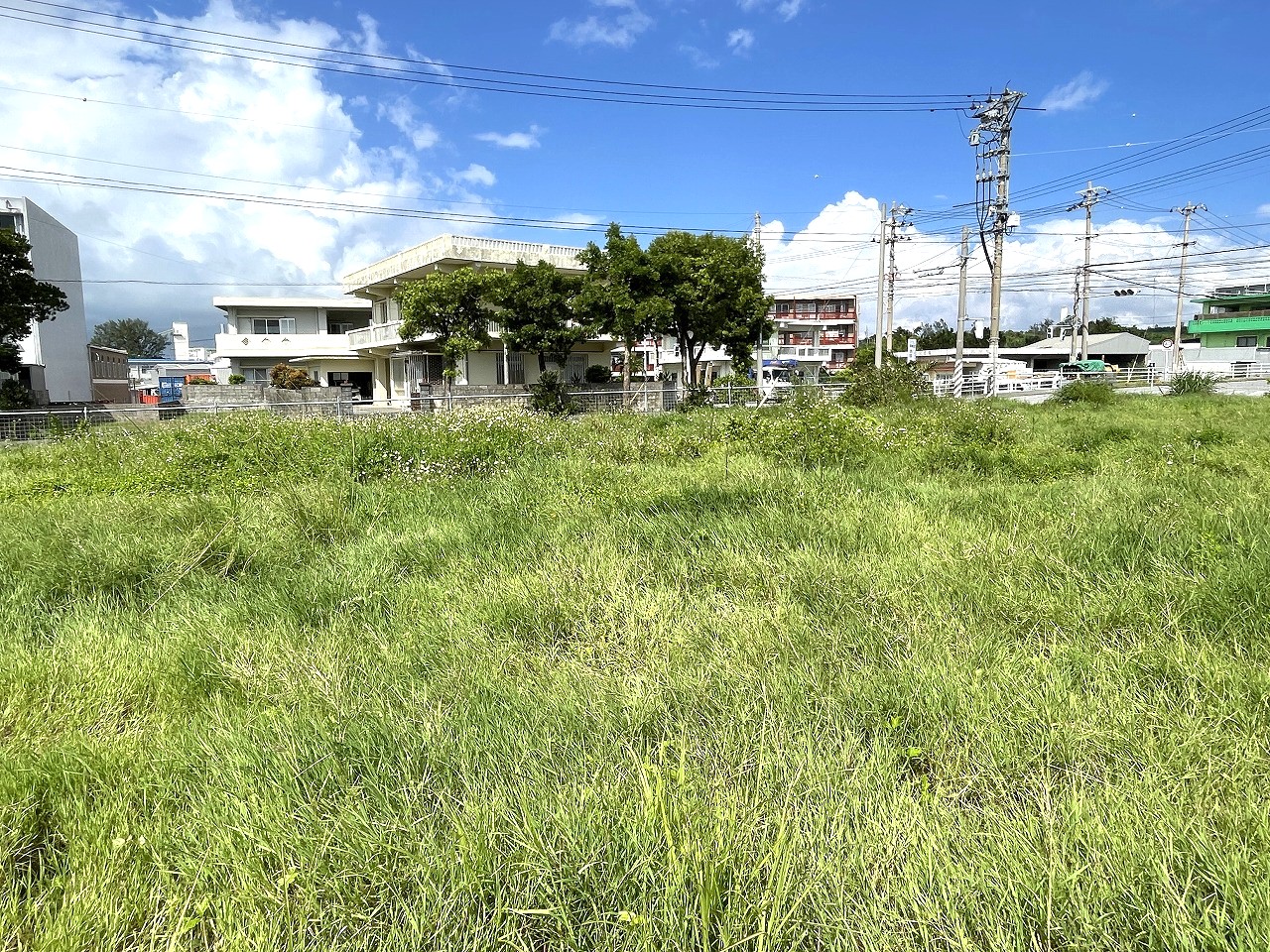 平良西仲宗根　北中近く　角地　約500坪　畑