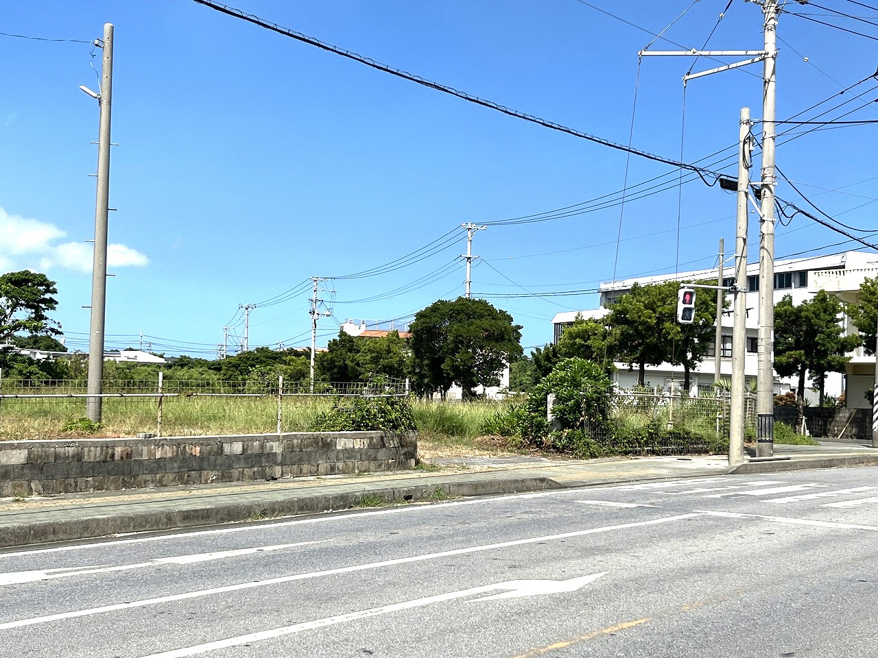 平良西仲宗根　北中近く　角地　約500坪　畑