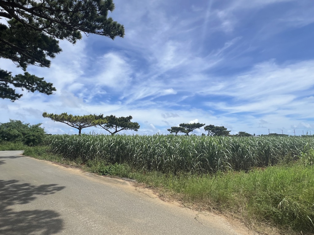 下地川満　県道200号線沿い　約2.2反　農用地