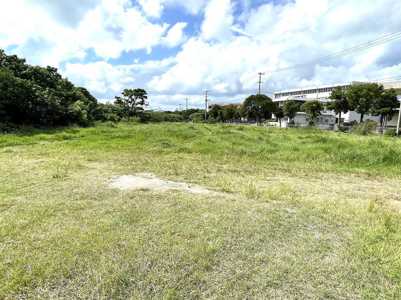 平良西仲宗根　北中近く　角地　約500坪　畑