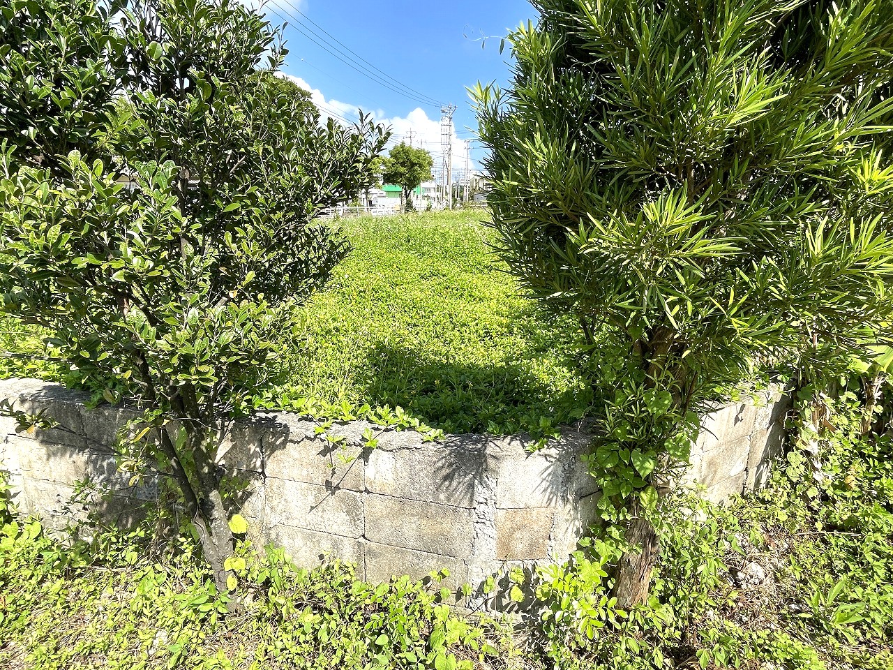 平良西仲宗根　北中近く　角地　約500坪　畑