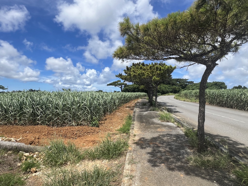 下地川満　県道200号線沿い　約2.2反　農用地
