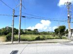 平良西仲宗根　北中近く　角地　約500坪　畑