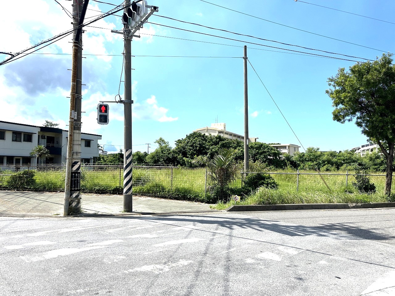 平良西仲宗根　北中近く　角地　約500坪　畑