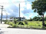 平良西仲宗根　北中近く　角地　約500坪　畑
