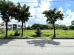 平良西仲宗根　北中近く　角地　約500坪　畑