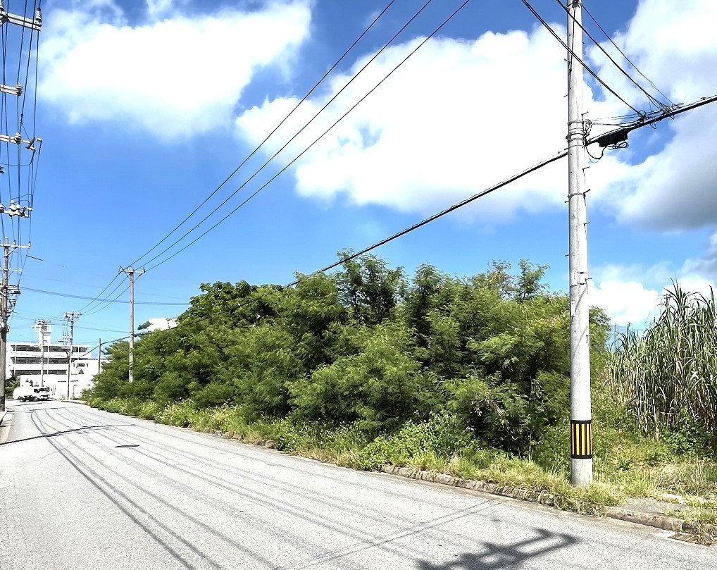 平良西仲宗根　北団地近く　約515坪　畑