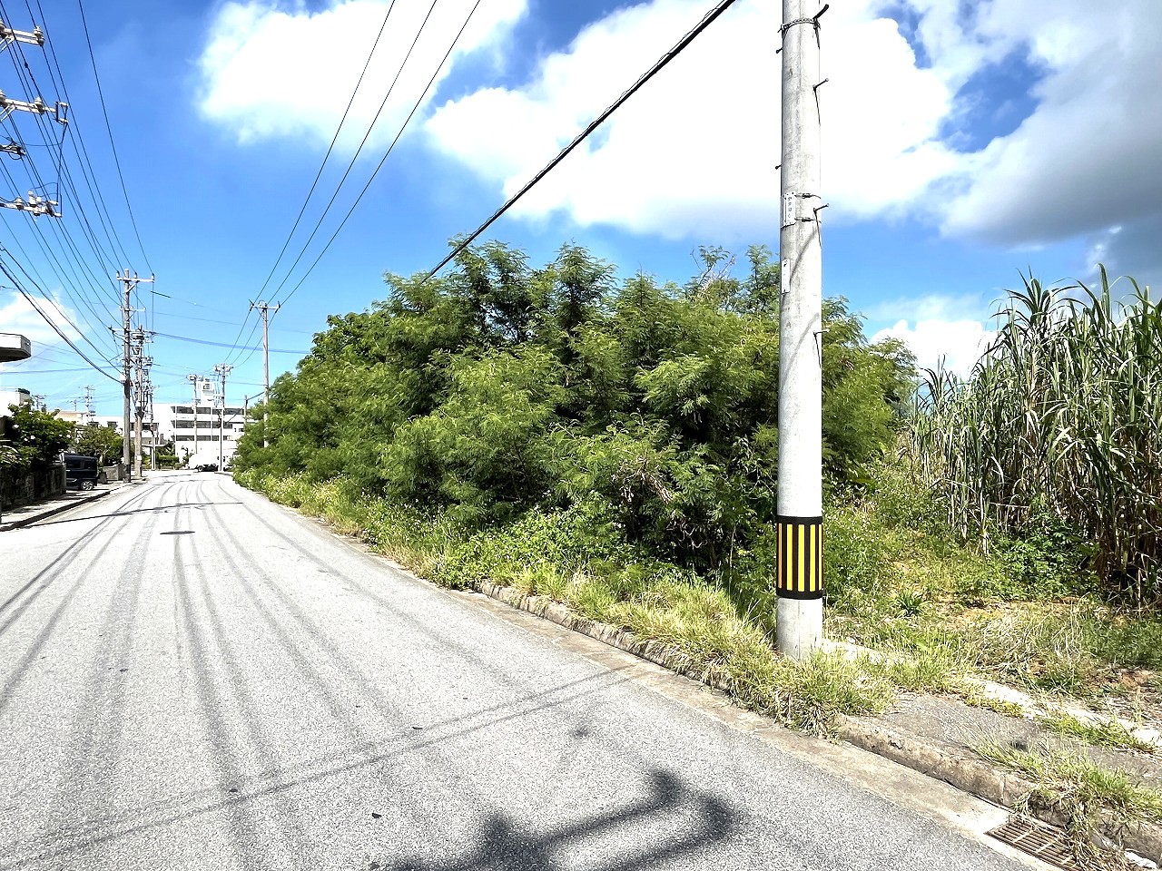 平良西仲宗根　北団地近く　約515坪　畑