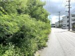 平良西仲宗根　北団地近く　約515坪　畑