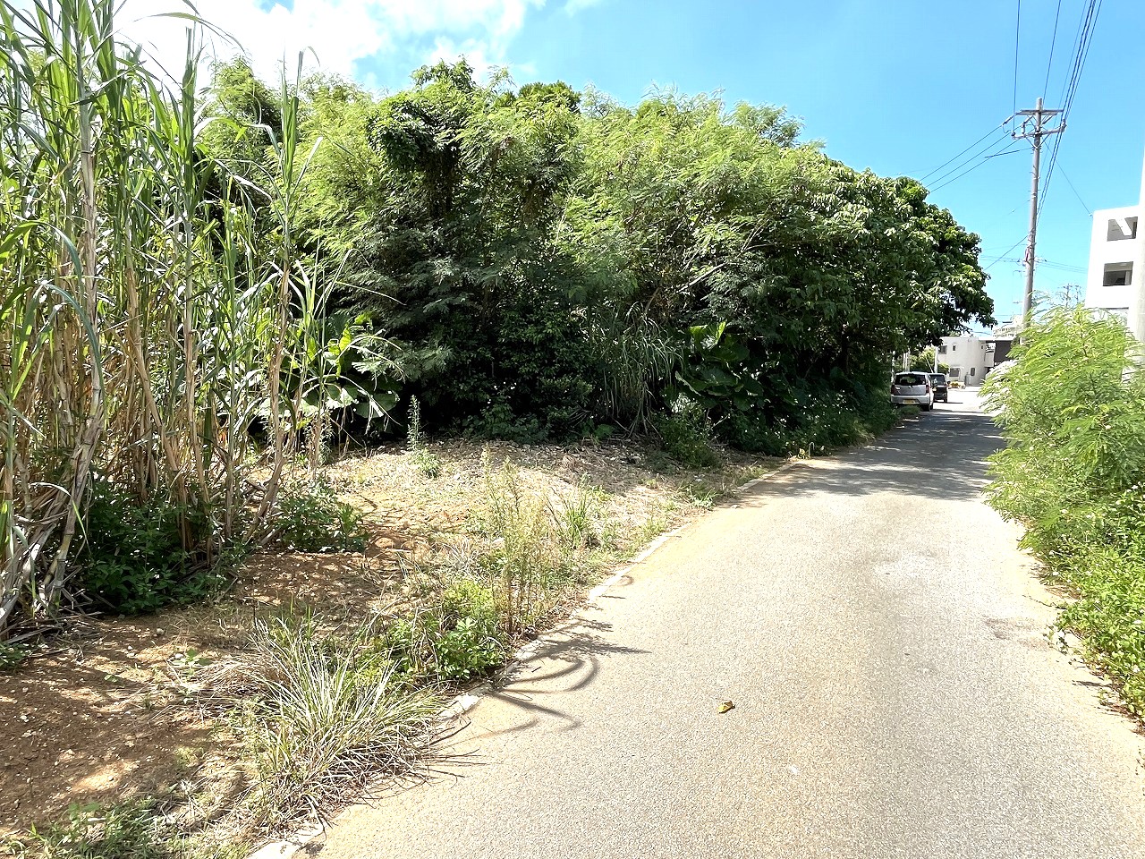 平良西仲宗根　北団地近く　約515坪　畑