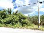 平良西仲宗根　北団地近く　約515坪　畑