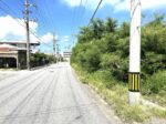 平良西仲宗根　北団地近く　約515坪　畑