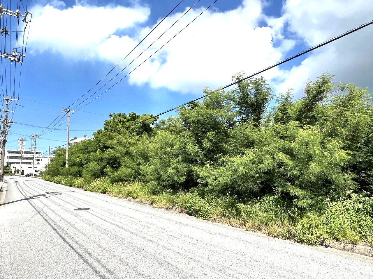平良西仲宗根　北団地近く　約515坪　畑