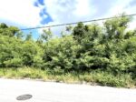 平良西仲宗根　北団地近く　約515坪　畑